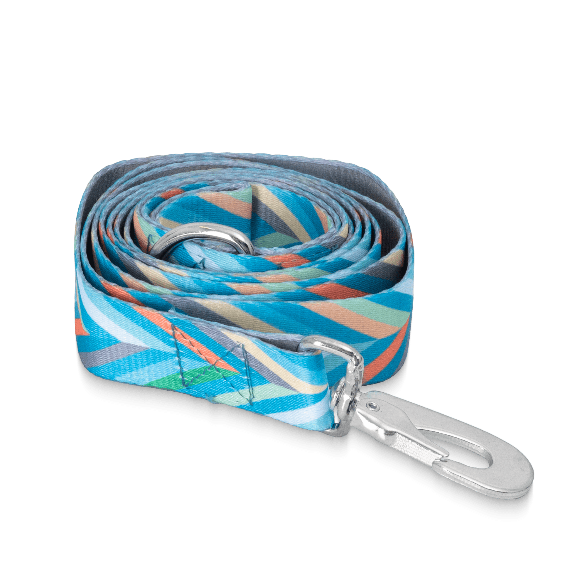 multi color dog leash folded